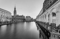 Hamburg Alsterarkaden und Rathaus schwarz-weiß von Michael Valjak Miniaturansicht