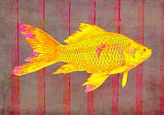 Gold Fish on Striped Background von mimulux patricia no Miniaturansicht