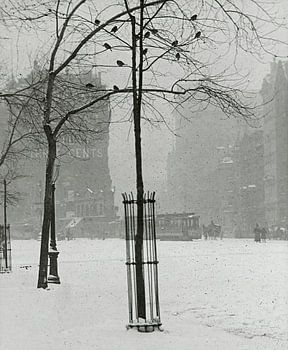 Tree in Snow, New York City (1900–1902) by Alfred Stieglitz