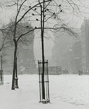 Boom in sneeuw, New York City (1900-1902) door Alfred Stieglitz van Peter Balan