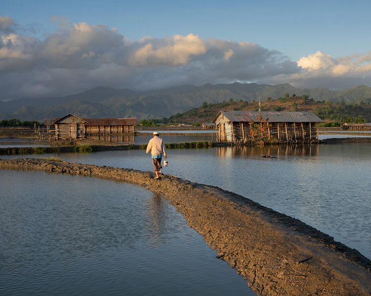 Ein Mann inmitten der Salzfelder in Sumbawa von Anges van der Logt
