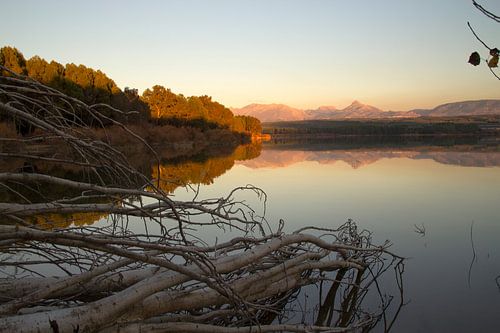 Evening Reflection