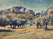 Olive trees in Provence by Nop Briex thumbnail