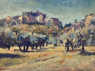 Olive trees in Provence