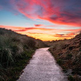 The wheelchair path to Kaapsduin by Bram Veerman