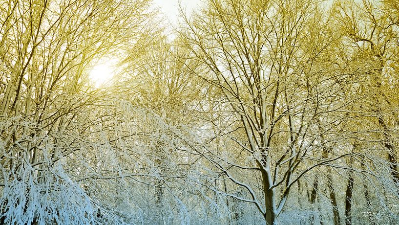 Winterlandschap van Bo Valentino