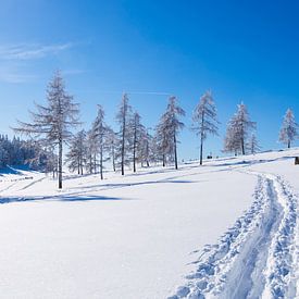 Wintersport in traumhaft verschneiter Winterlandschaft in Österreich von Photofex