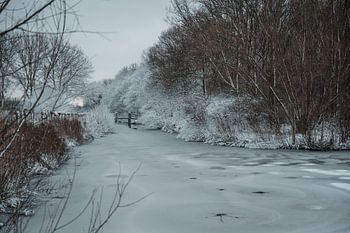 Besneeuwde sloot in Wilhelminapark, Rijswijk