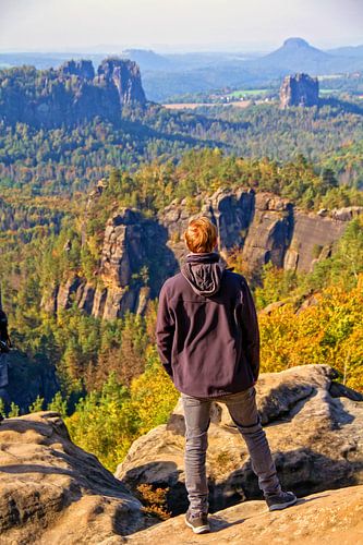 Fictitious Friedrich view