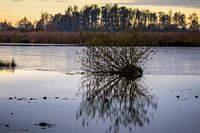 Spiegeling