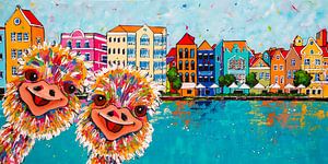 Un duo joyeux à Willemstad