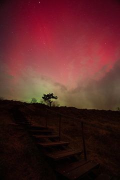 De trap naar het noorderlicht