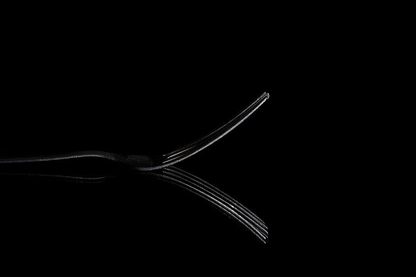 Fork by Anita Visschers