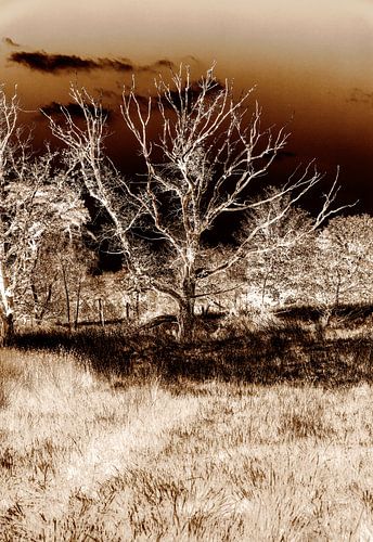 Ketliker Skar von Jakob Huizen van