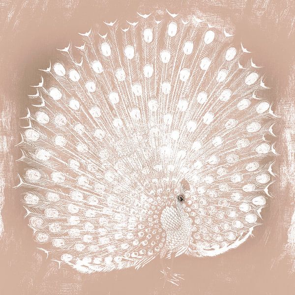 Peacock on beige by Mad Dog Art