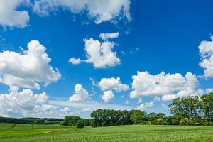 Landscape with field, trees and clouds sur Rico Ködder