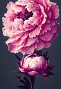 Bloeiende pioenroos, roze, macro, close-up van Color Square thumbnail