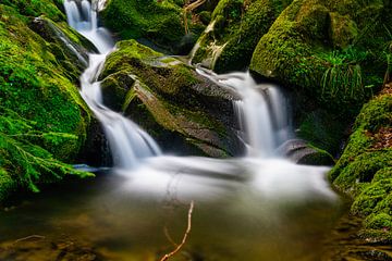 Kleiner Bach im Schwarzwald von Photo Art Thomas Klee