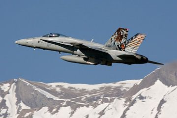 F18 Over the alps