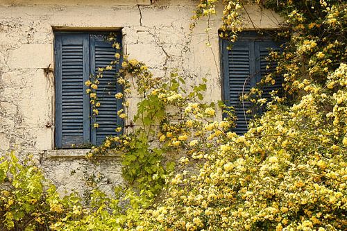 De blauwe brocante louvredeuren