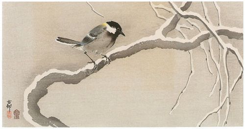 Ohara Koson - Japanese titmouse in the snow (edited)