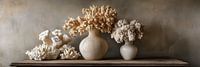 Vases and Coral An Interplay of Nature as Still Life Panorama