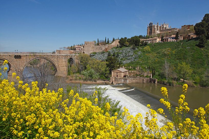 Puente de San Martin, bridge, river Tajo, old town, bridge, spring, Toledo by Torsten Krüger