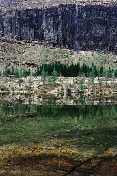 Reflections in Green by Marielle de Boer