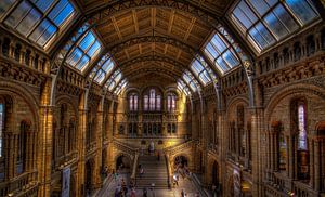 Natural History Museum London van Rene Ladenius Digital Art