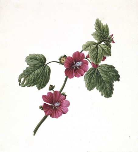 Branch with Purple Flowers van M. de Gijselaar 1830