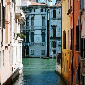 Venice by Dalmuro