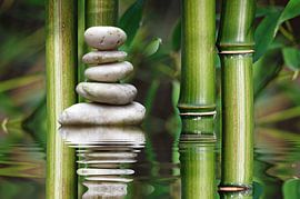 Balance