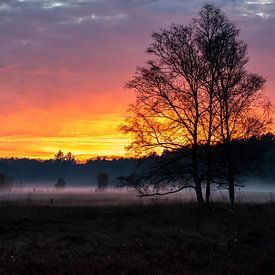 Herbstlicher Sonnenuntergang mit tiefem Nebel über dem Wasmeer in Hilversum von Andrea de Jong