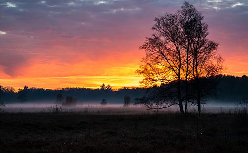 Herfstige zonsondergang met lage mist boven Hilversums Wasmeer