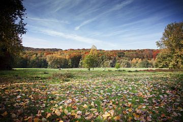 Splendeur de l'automne sur Ilse Mertens