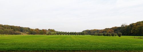 Langs de Langbroeker wetering