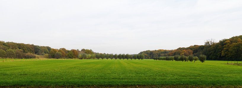 Langs de Langbroeker wetering par Frans Rutten
