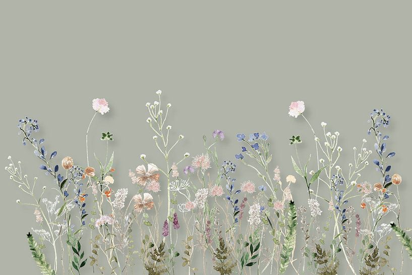 Prairie de fleurs sauvages Sauge d'été par Monika Strigel