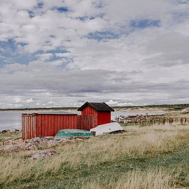 Schwedische Landschaft von Jessie Jansen