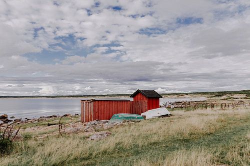 Swedish Landscape by Jessie Jansen