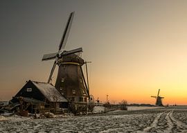 Dutch Icons! by Robert Kok