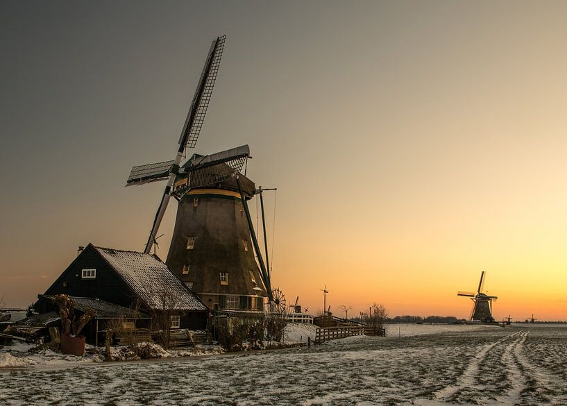 Niederländische Ikonen! von Robert Kok