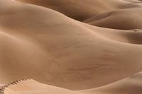 Footsteps in the desert