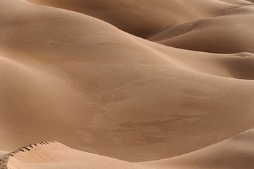 Voetstappen in de woestijn van Photolovers reisfotografie