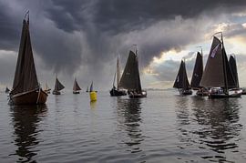 Botters in the Sails by Brian Morgan