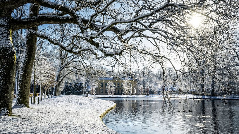 Borg Nienoord met daarvoor vijver in de sneeuw van R Smallenbroek