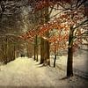 Winterlandschaft von Annie Snel