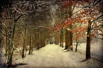 Winterlandschap van Annie Snel