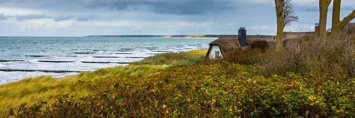 Autumn in Ahrenshoop