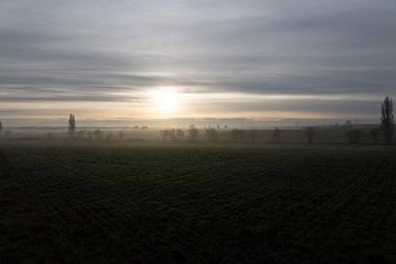 Eenzaam winterlandschap bij zonsopgang met mist, rijp, bomen en velden van Andreas Freund